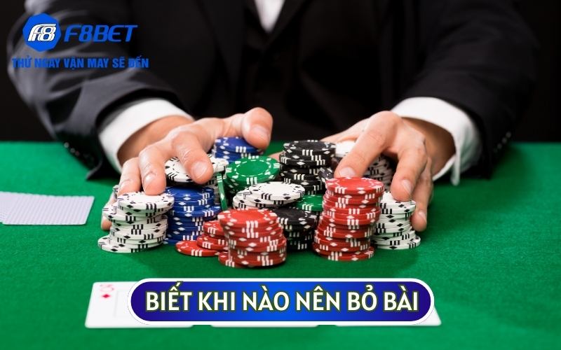 Bạn nên biết khi nào nên bỏ bài và khi nào thì nên quyết định đánh